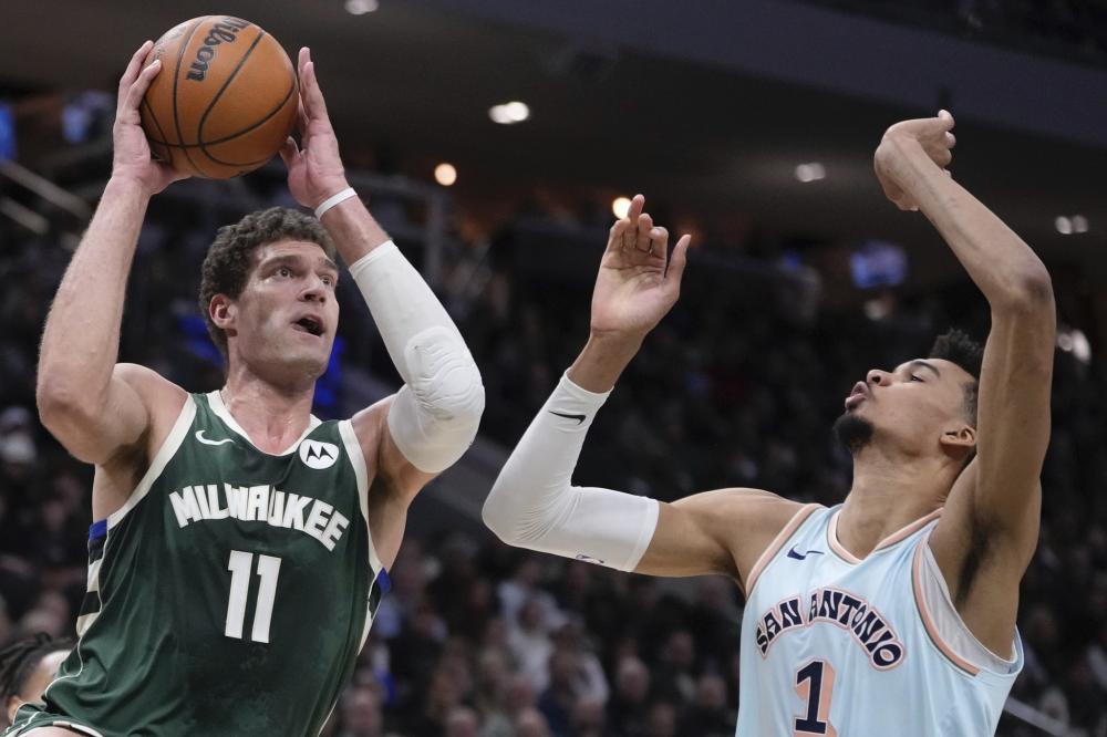 马来西亚羽 马来西亚羽